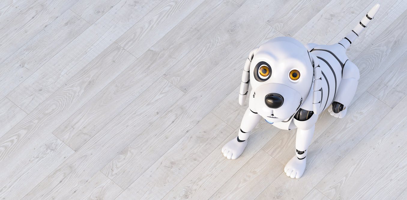 什么是强化学习？AI 研究人员解释了教机器的一种关键方法——以及它与训练你的狗有什么关系