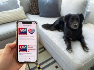 PetSmart 如何在其改进的忠诚度计划中使用 AI