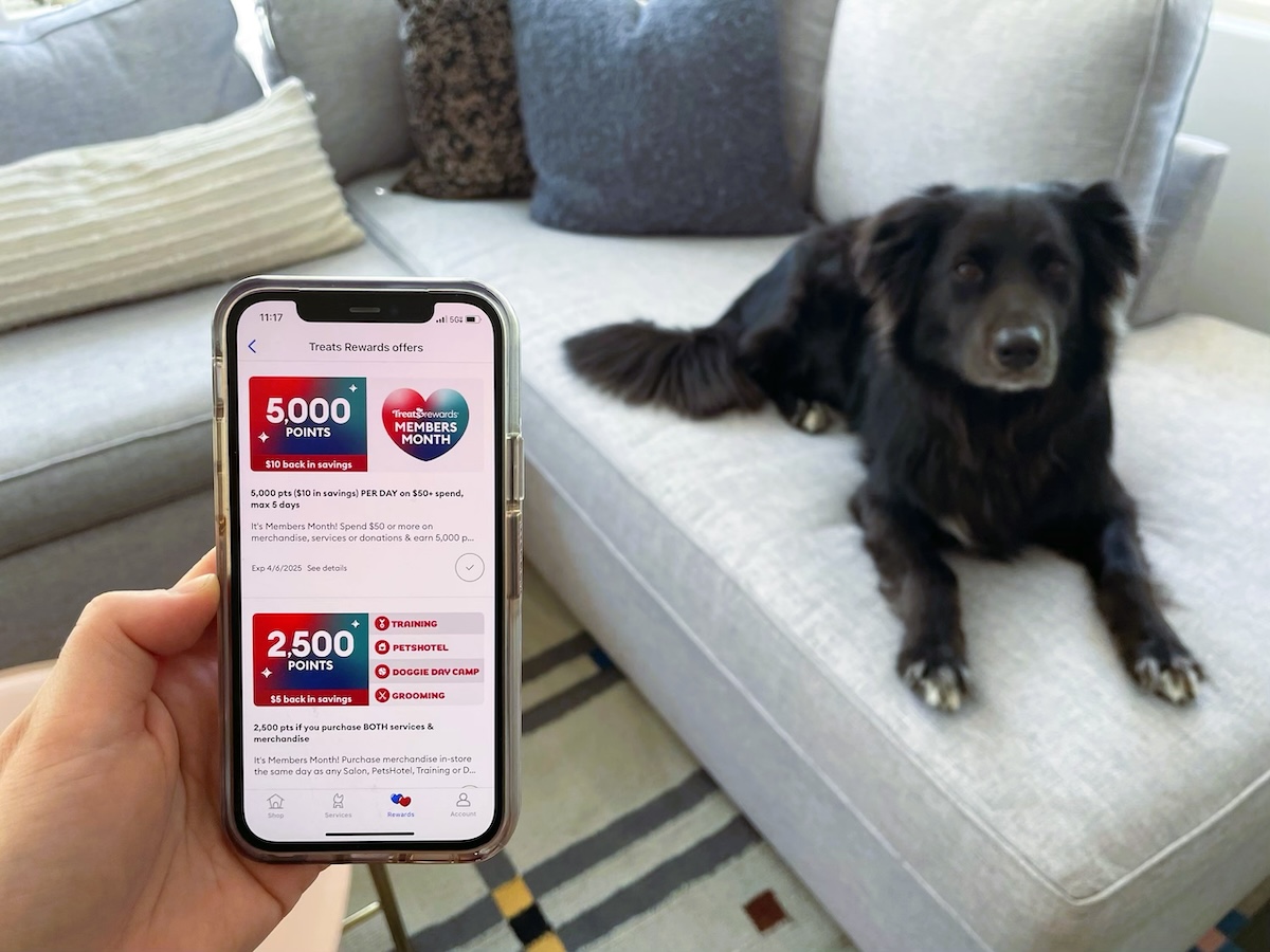 PetSmart 如何在其改进的忠诚度计划中使用 AI