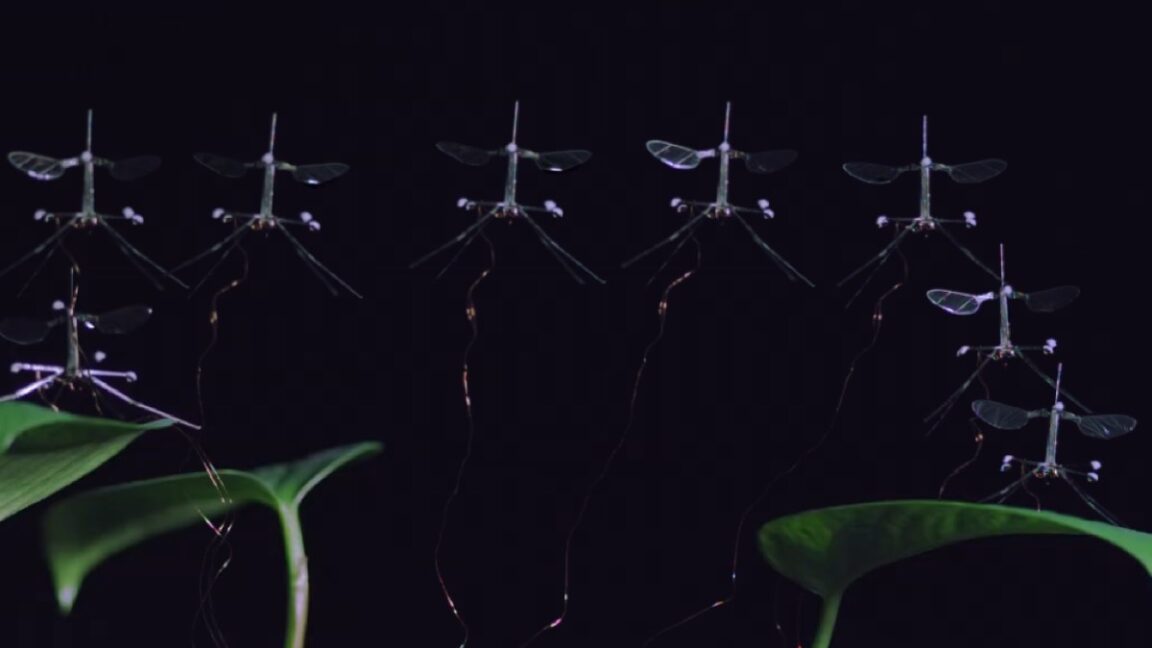 RoboBee 坚持着陆