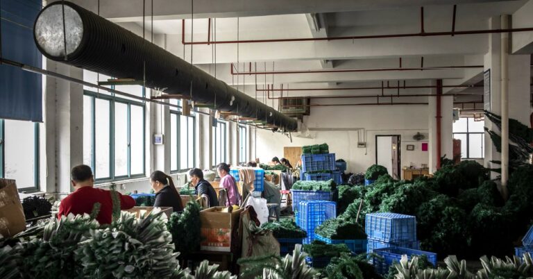 特朗普的贸易战正在加强中国的软实力