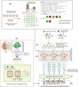 TransBind 允许使用语言模型和深度学习精确检测 DNA 结合蛋白和残基