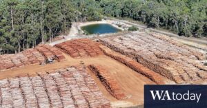 无人机图像揭示了西澳森林健康测井的规模