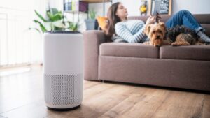 使用这些空气净化器提示和技巧来对抗您的过敏