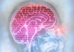 脑损伤患者帮助科学家研究逻辑思维