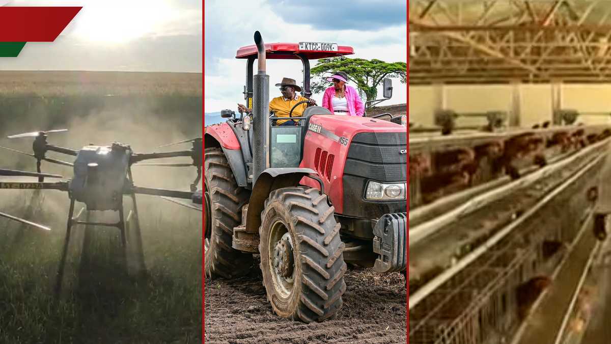 William Ruto 的超现代农场采用无人机技术、昂贵的设备……