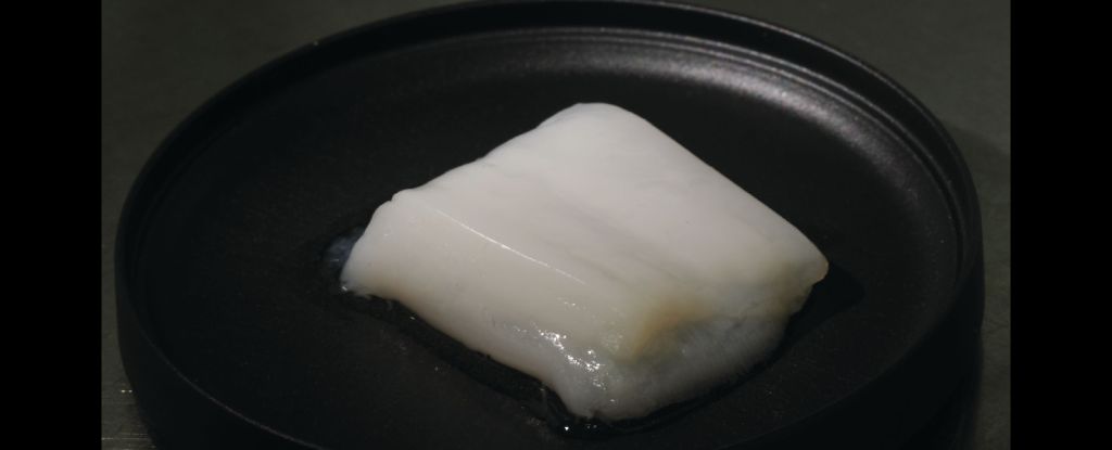假血管意味着实验室培育的鸡现在可以是块大小