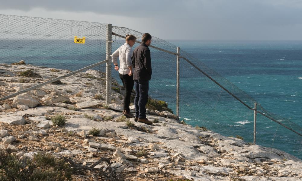 无人机、人工智能和一道长栅栏：袋鼠岛与每年杀死 15 亿只澳大利亚动物的利爪捕食者开战