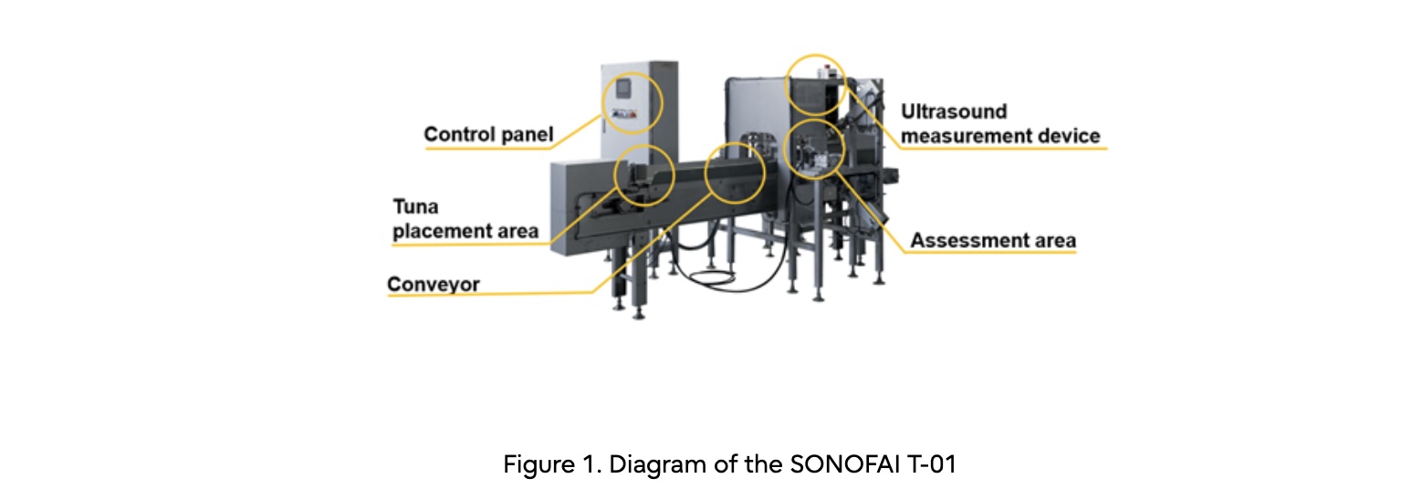 Sonofai 通过采用富士通 AI 技术的新设备彻底改变冷冻金枪鱼检测