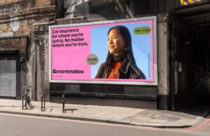 Marshmallow 是英国移民保险初创公司，以 $90B+ 的估值筹集了 $2M