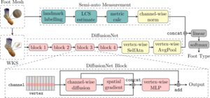 一种对糖尿病患者 3D 足型进行分类的新型深度学习方法