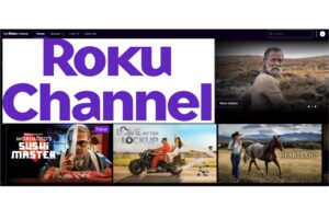 Roku 频道是免费的，您不需要 Roku 设备即可观看