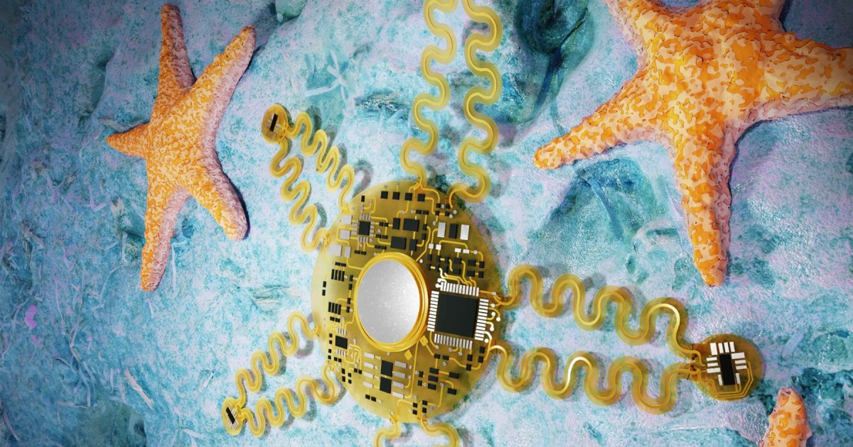 受 Starfish 启发的贴片解决了可穿戴心脏传感器的关键问题