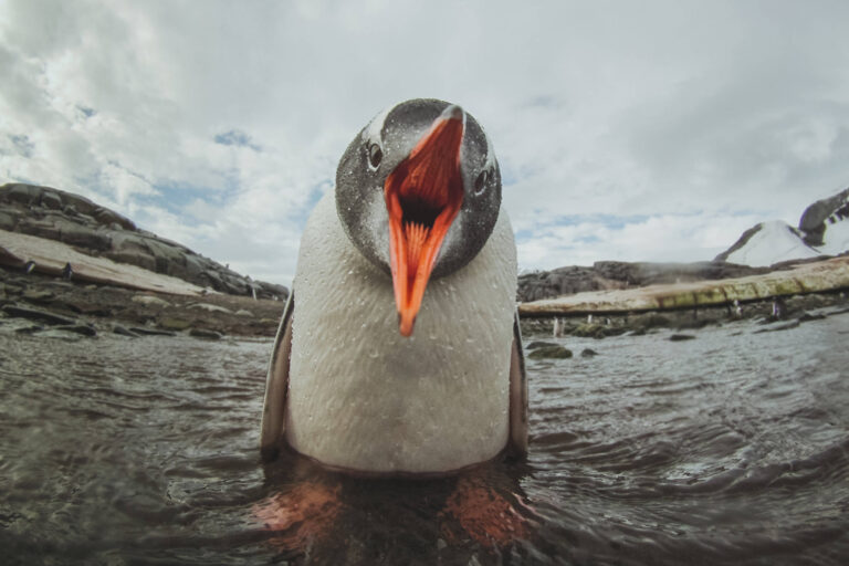 当心任何偷偷逃避系统调用监视防病毒软件的 Linux 恶意软件