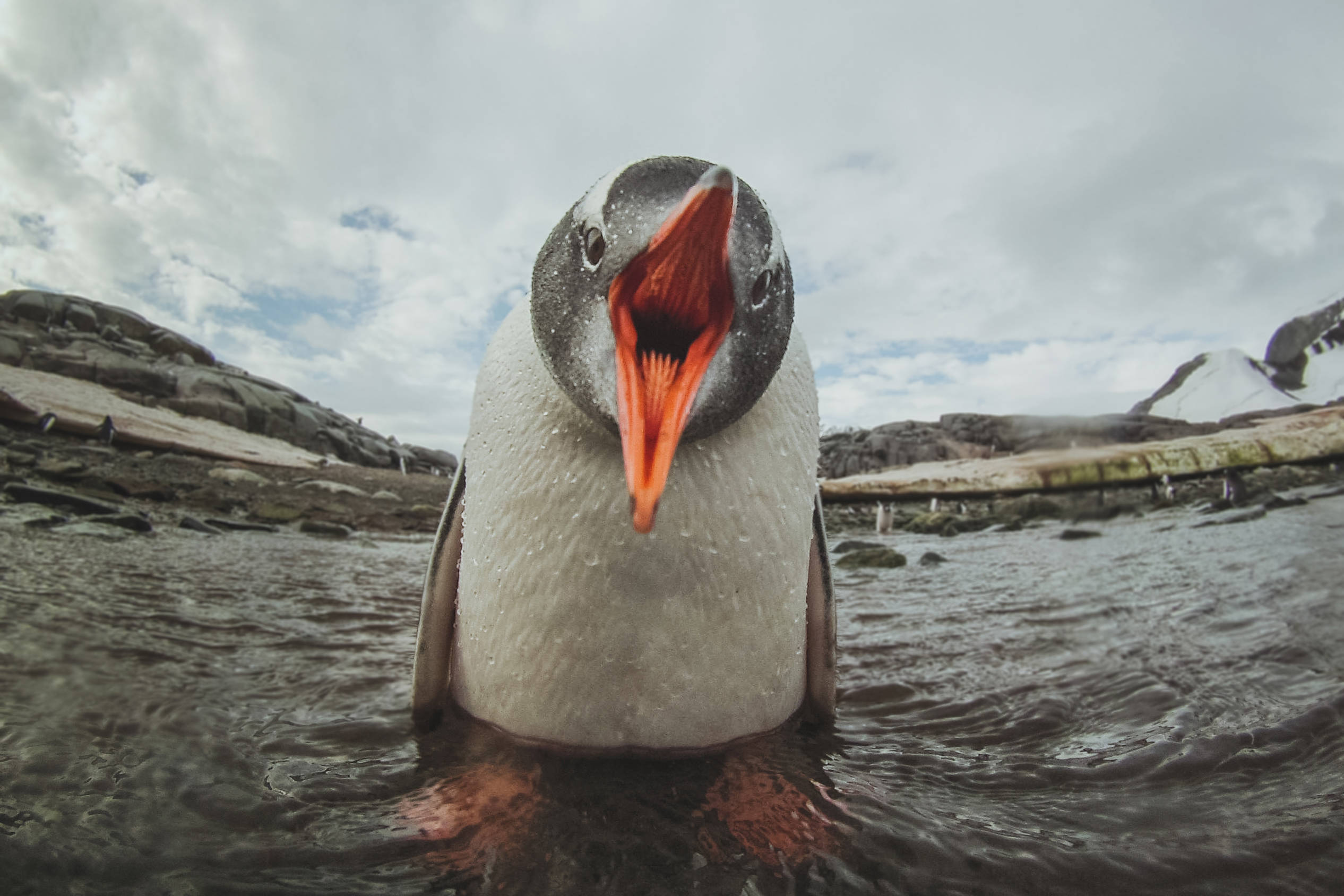 当心任何偷偷逃避系统调用监视防病毒软件的 Linux 恶意软件