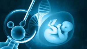 生育专家预测人工智能将 IVF 成功率激增