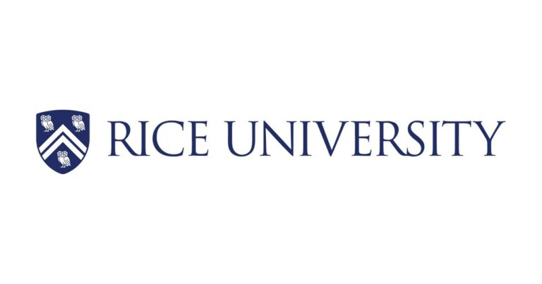 Rice 与 Google Public Sector 合作推出 AI 风险加速器，以推动行业创新