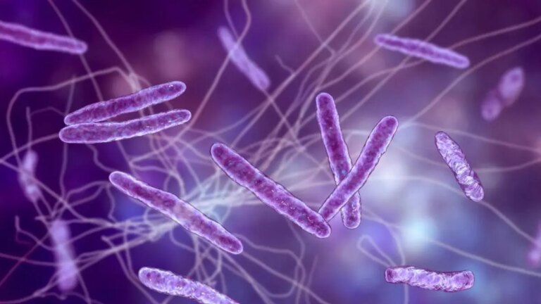 AI 如何揭示 1 万亿个物种的 30 亿年细菌进化