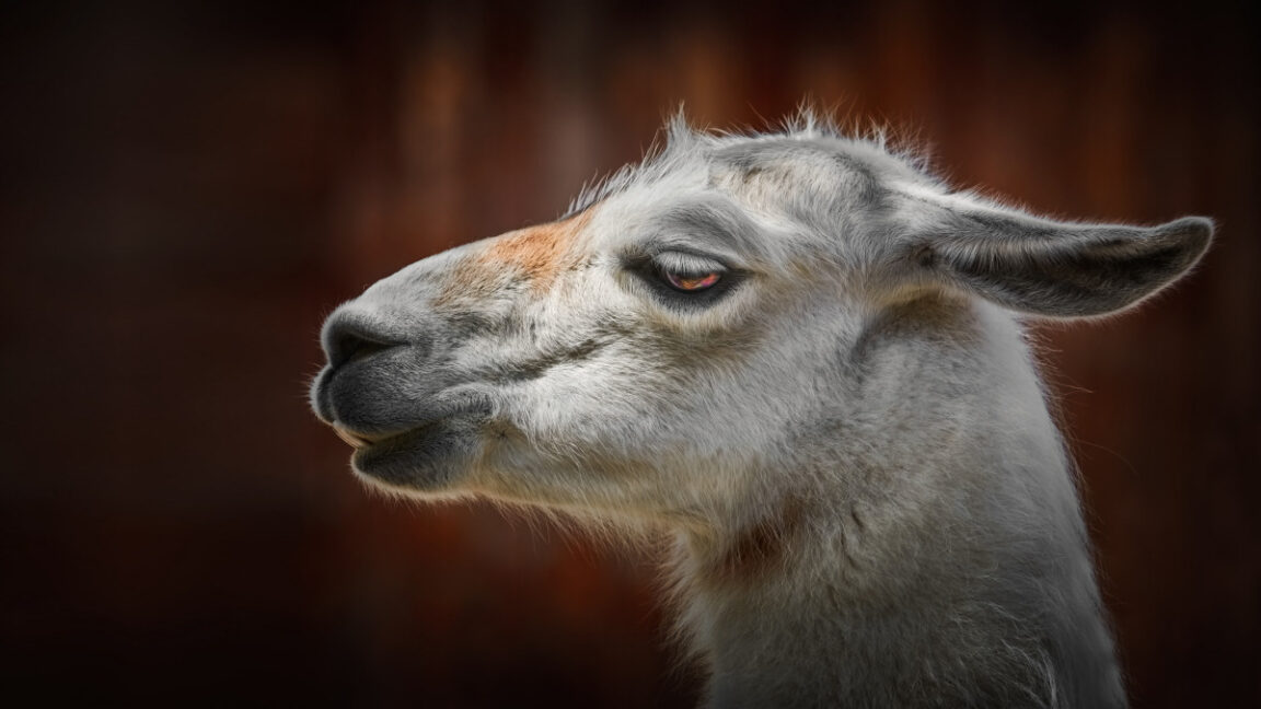 Meta 出人意料的 Llama 4 下降暴露了 AI 野心与现实之间的差距