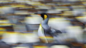 Linux 笔记本电脑滞后？快速加速的 5 种简单方法