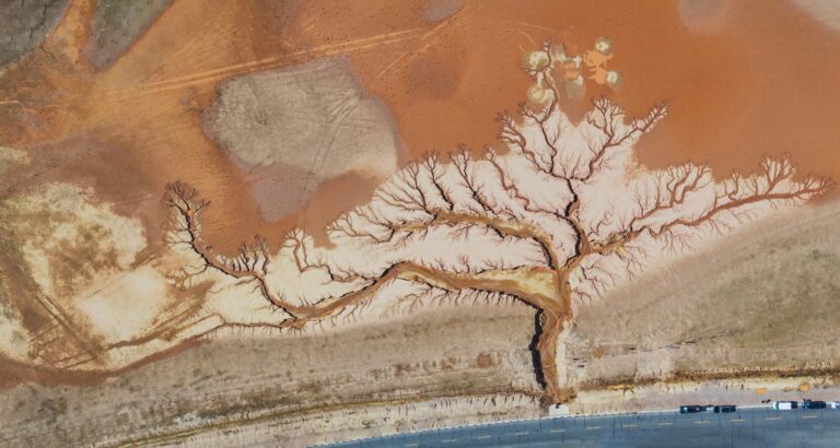 AI 驱动的模型准确预测沟壑侵蚀并揭示关键风险因素