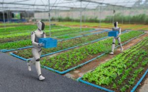 赋能非洲：教育和 AI 如何改变我们的未来粮食系统