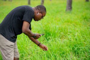 农业数字解决方案推动非洲小农户有意义的生计改善
