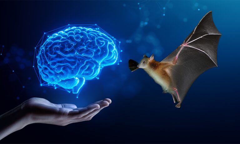 AI 可以帮助人类理解动物