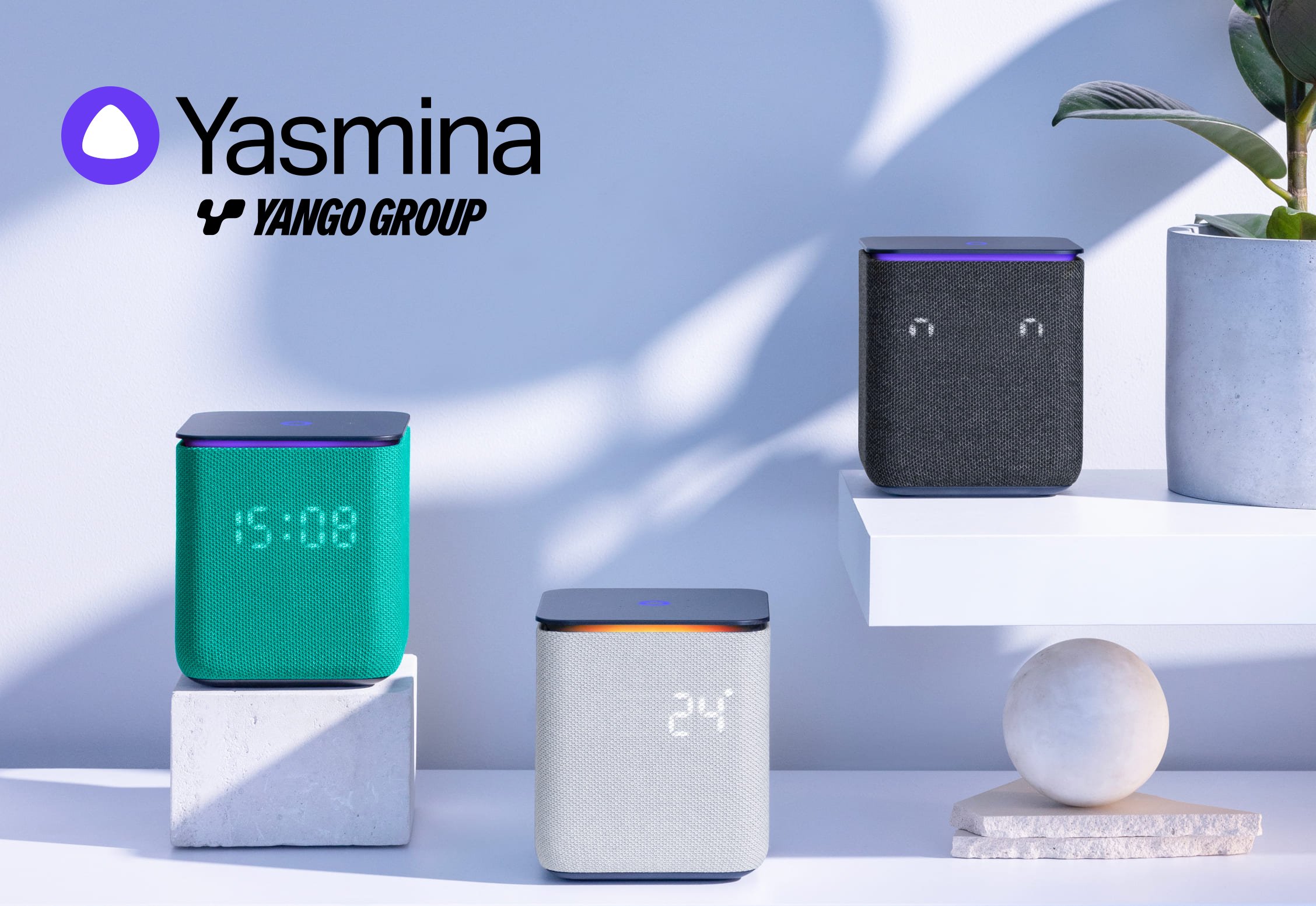 科学与阳光赢得了Yango的Yasmina创意简报