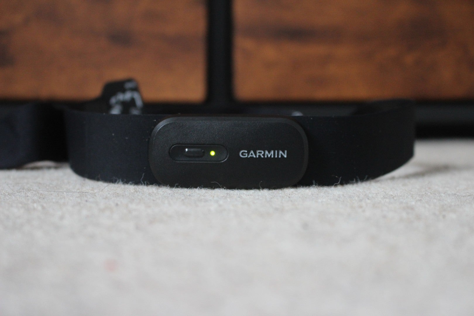 Garmin Hrm-200 评论