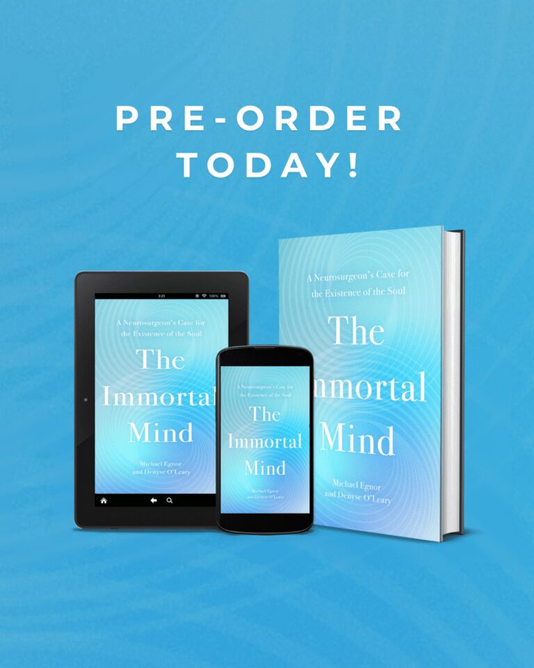 人工智能与大脑或思想完全不同