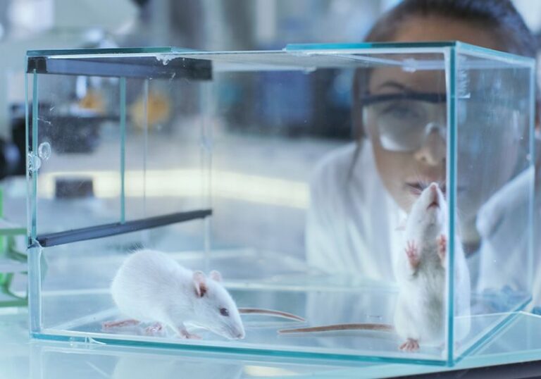 动物试验就此结束吗？FDA 宣布计划在药物安全性研究中逐步淘汰动物