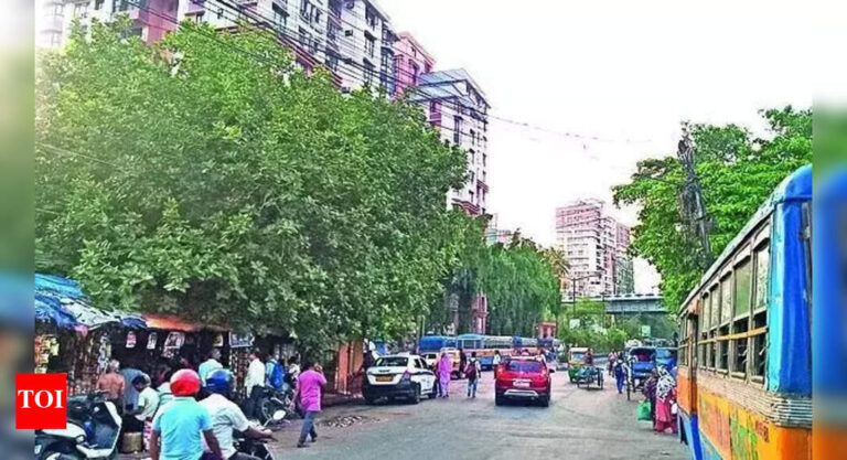 加尔各答警方从托普西亚逮捕了’孟加拉国民’，缴获了中国制造的无人机