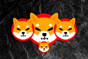 Shiba Inu 团队向 SHIB 持有者发出重大警告
