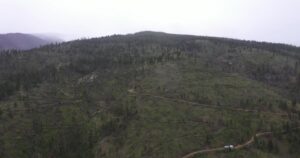 视频：Lolo Peak 山坡重新造林的无人机镜头