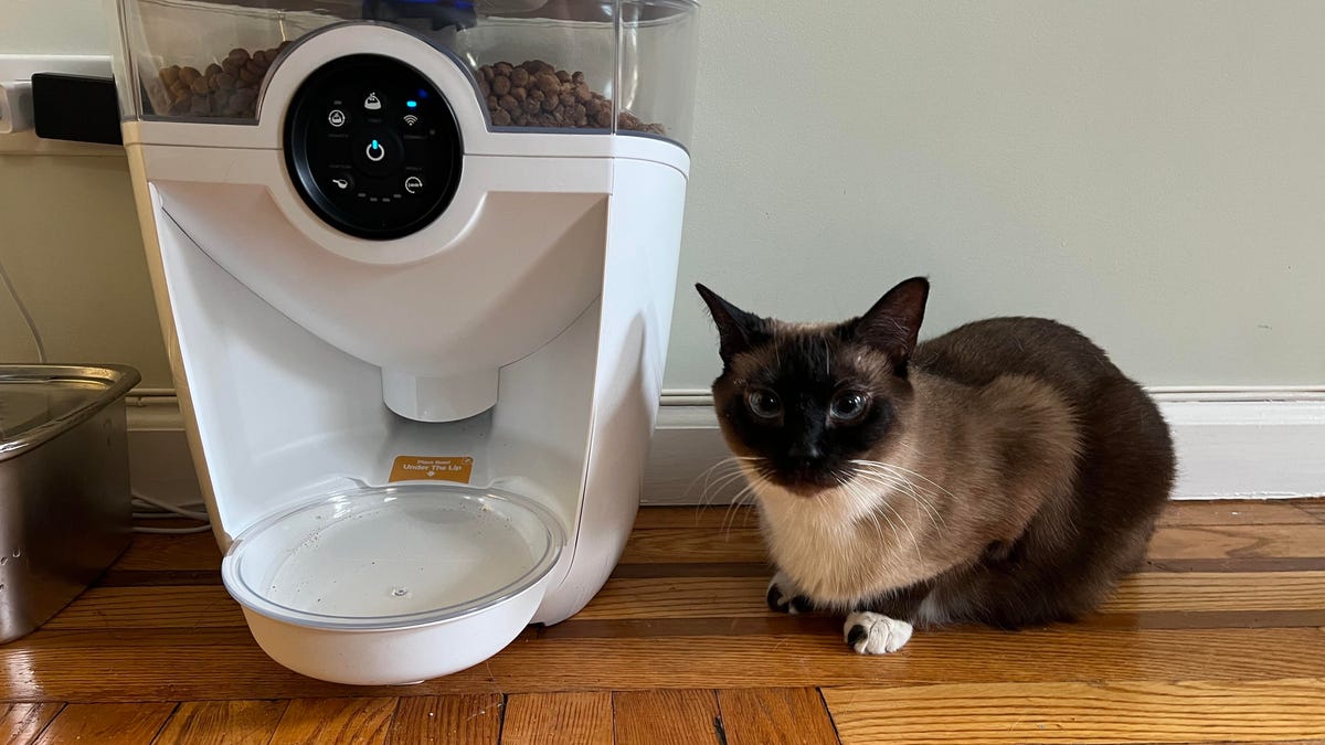 Whisker Feeder 机器人解决了我出门在外时猫喂食的焦虑