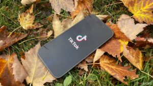 具有讽刺意味的是，TikTok 可能已经找到了治疗社交媒体成瘾的方法