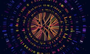 澳大利亚的癌症挑战：AI 能否大规模解锁精准和个性化的治疗？