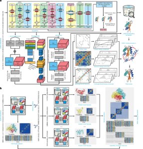 D-I-TASSER 优于 AlphaFold？蛋白质结构建模的新前沿