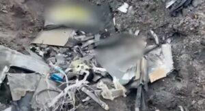 乌克兰通过苏梅地区被摧毁的敌方无人机的视觉效果展示精确的防空能力（视频）