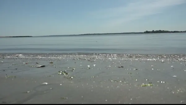 纽约市将在今年夏天使用无人机帮助营救游泳者