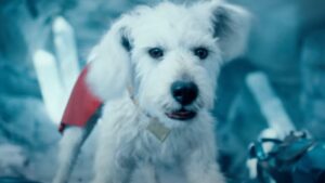 Krypto 在超人预告片中（再次）抢尽风头