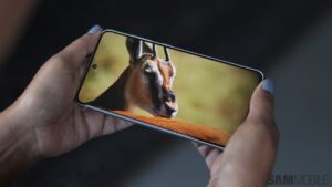 看到绿线实时出现在三星手机的 OLED 显示屏上