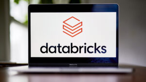 Databricks 通过双重领导任命继续推动 EMEA 增长