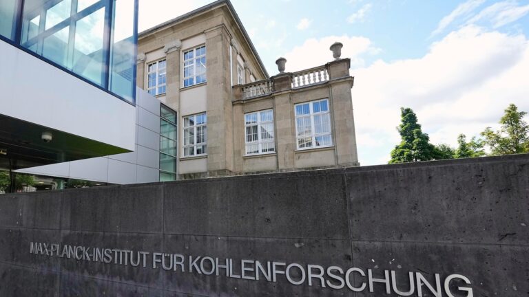 科学家们在美国的削减中失去了工作或资助。外国大学想雇用他们