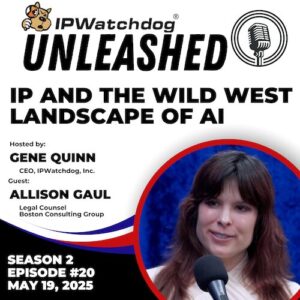 IP 和 AI 的狂野西部景观 |IPWatchdog 释放