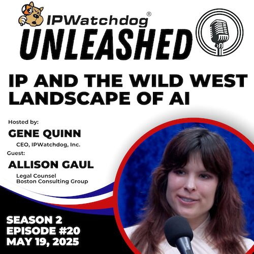 IP 和 AI 的狂野西部景观 |IPWatchdog 释放