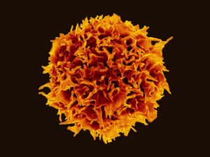 现在可以在体内设计杀伤癌症的免疫细胞——通过类似疫苗的 mRNA 注射