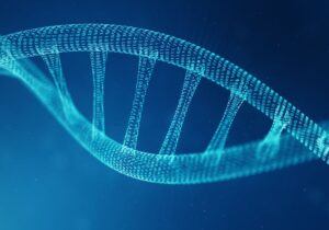 AI 工具识别疾病驱动启动子突变