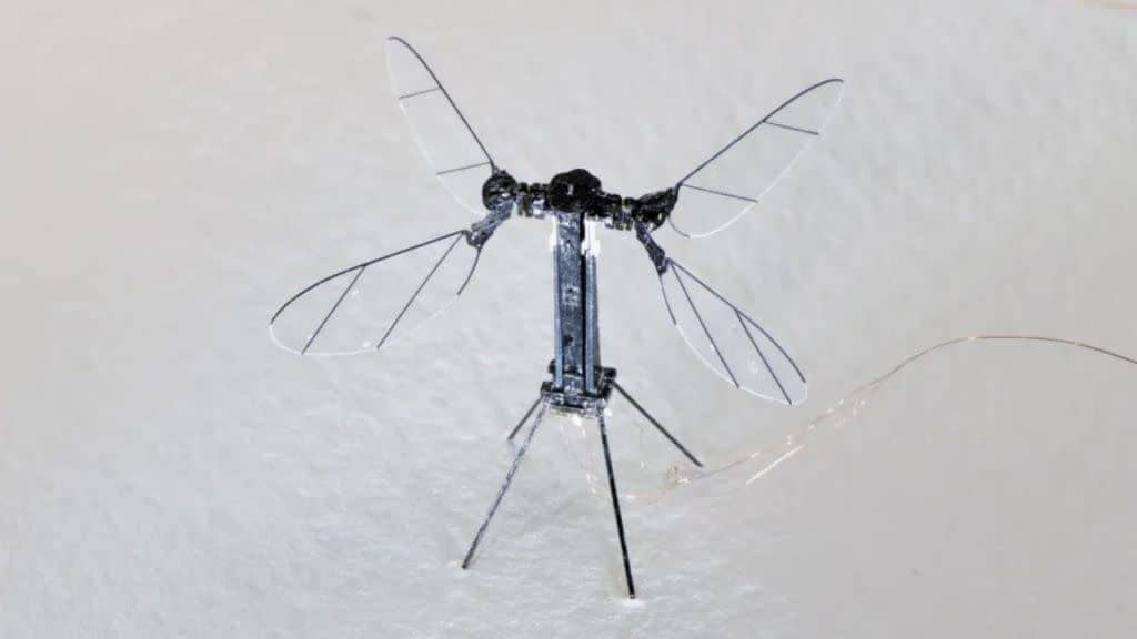 中国展示用于秘密军事任务的蚊式无人机